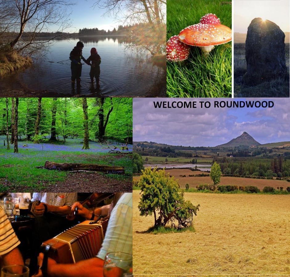 Glendalough Scenery Farmhouse Roundwood Esterno foto